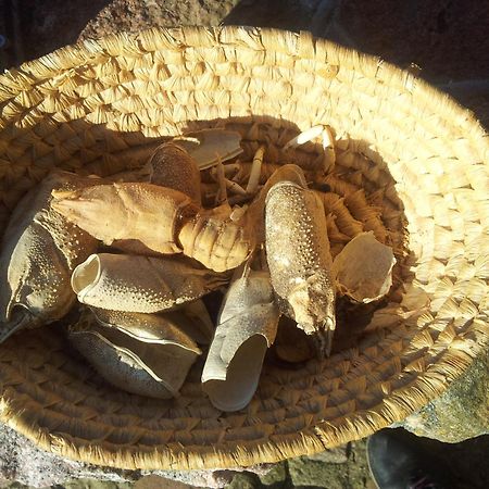 Hosteria na Mazurach Dąbrówno Zewnętrze zdjęcie